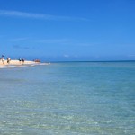 isole canarie e isole di capoverde