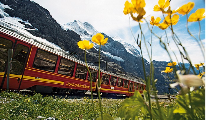trenini panoramici svizzeri