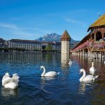 lucerna