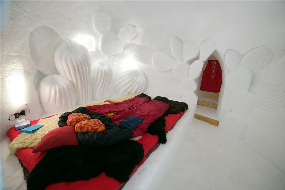 NOTTE IN IGLOO un' esperienza insolita