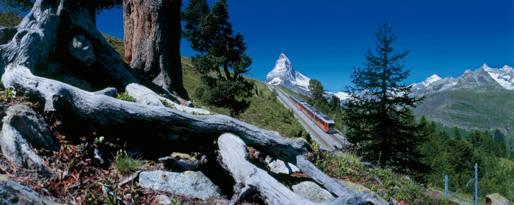 in svizzera con i treni panoramici