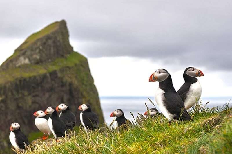 isole faroe