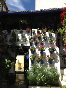 cordoba-patios1