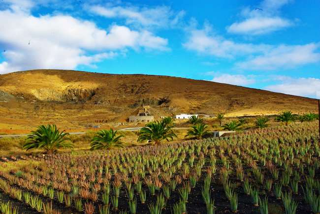 fuerteventura