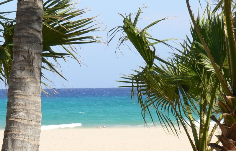 canarie spiagge parchi naturali