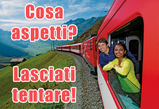 bernina low cost