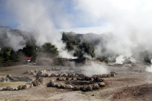 Tutto azzorre furnas a sao miguel 