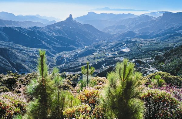 viaggio alle isole Canarie