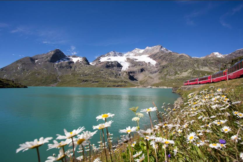 il trenino rosso in maggio