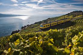 il treno delle vigne