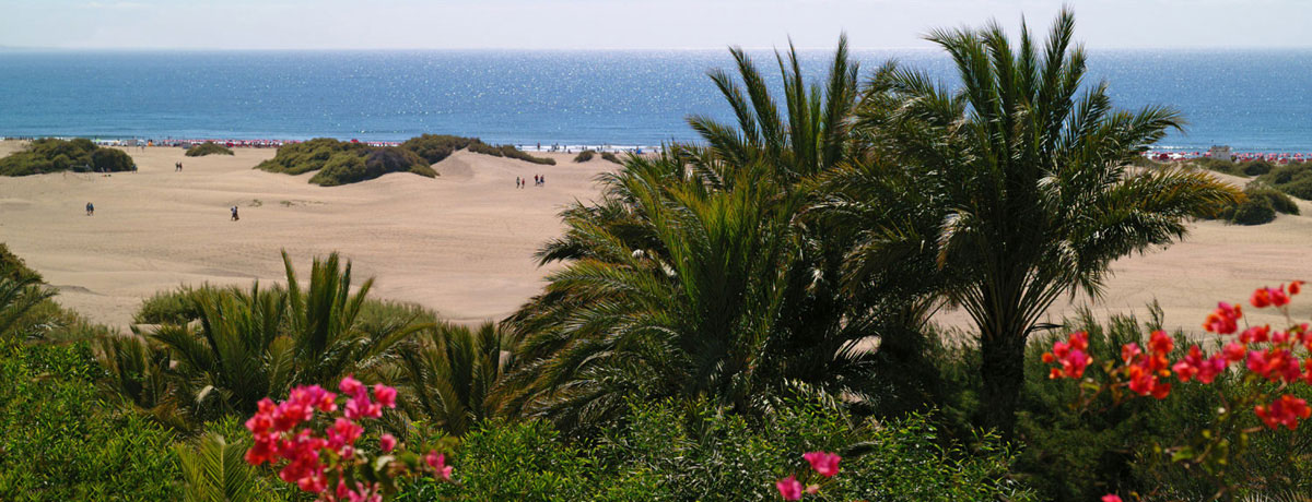 canarie-maspalomas