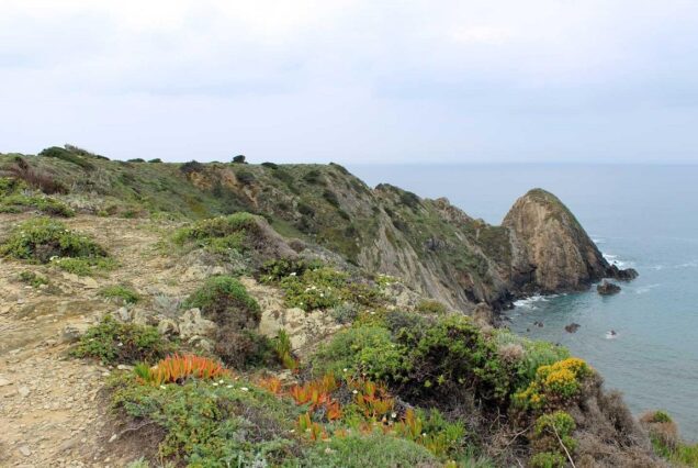 Rota Vicentina