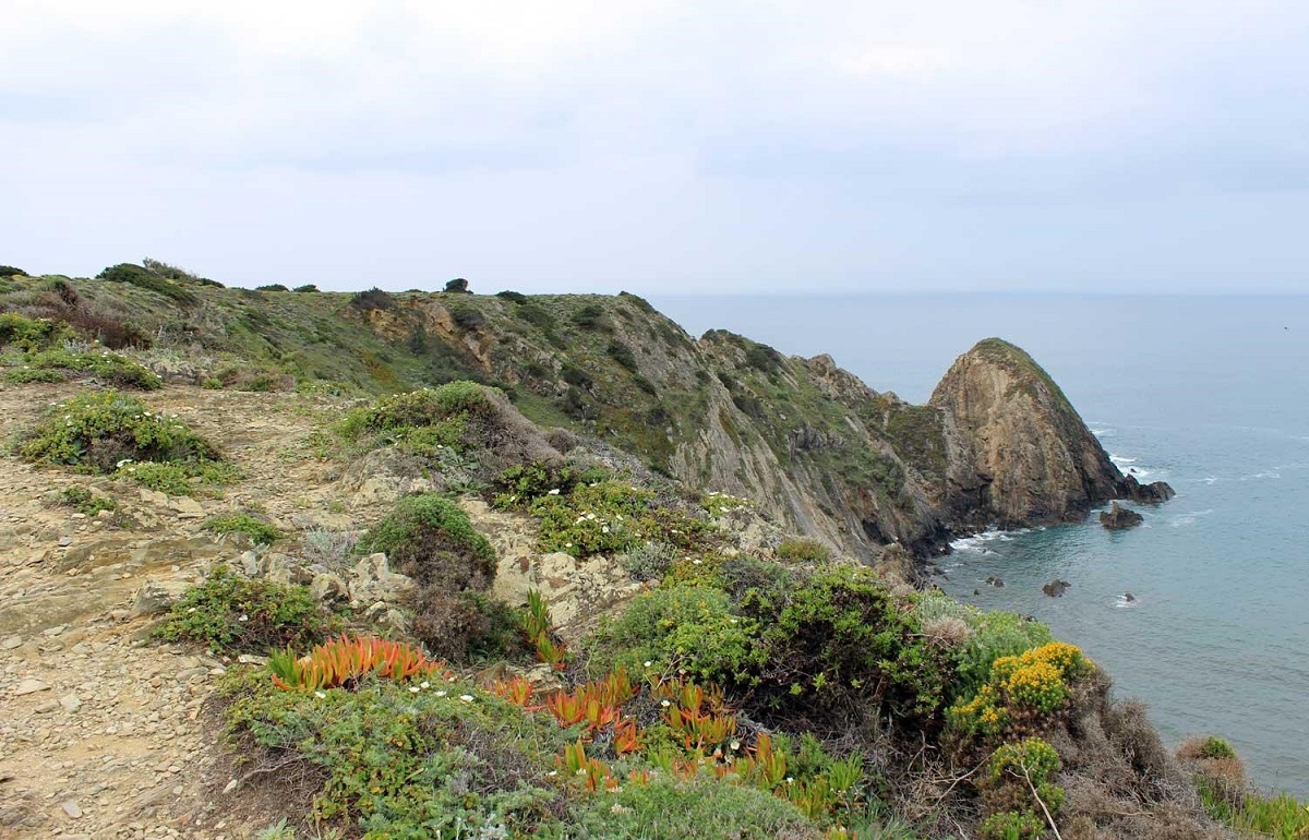 Rota Vicentina