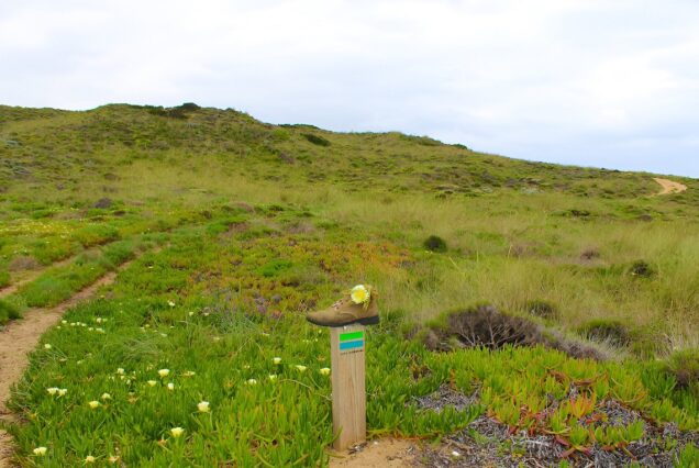 Rota Vicentina