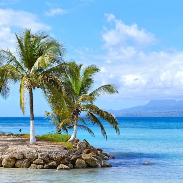 Caraibi Francesi
