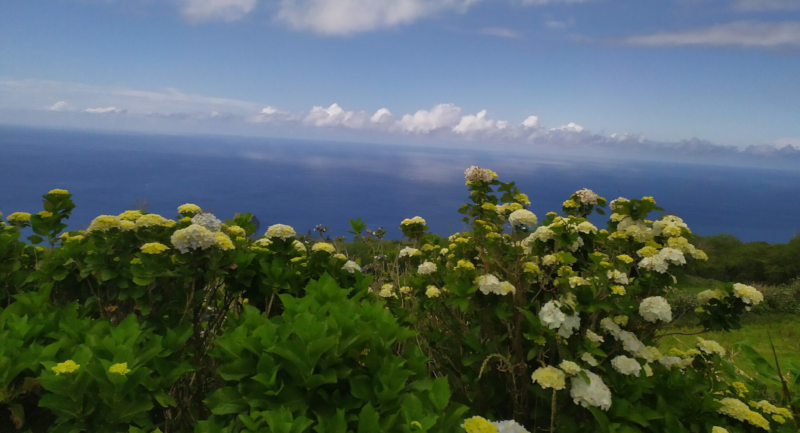 Capodanno con volo diretto a Sao Miguel