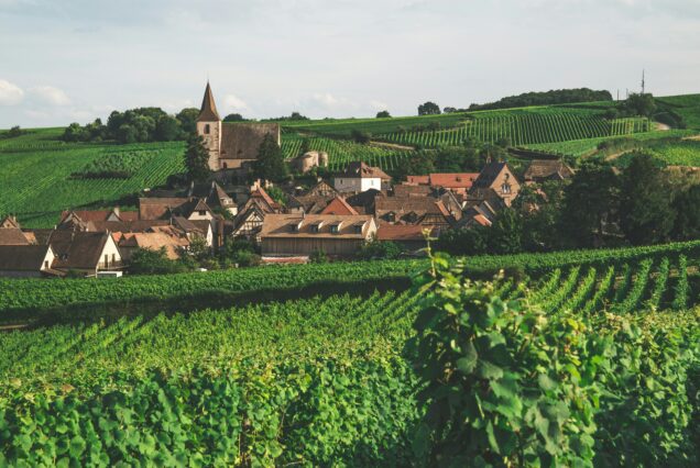 Tour di gruppo Germania e dell'Alsazia