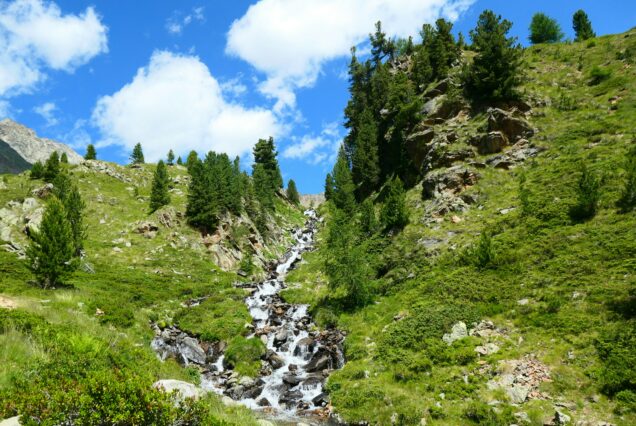 Montagne laghi e Trenino Rosso