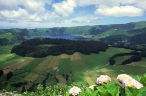 azzorre lago ortensie