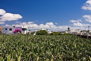 lanzarote l'isoal dai mille vulcani