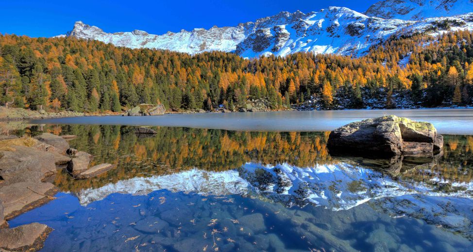 trenino rosso del bernina e la lposchiavo